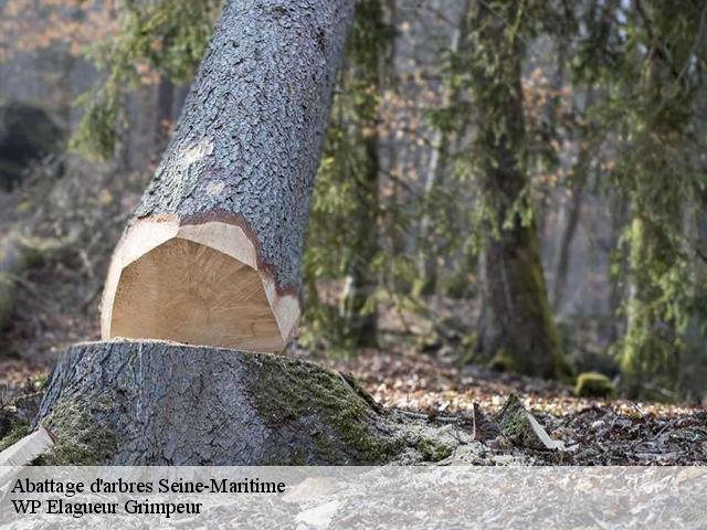 Abattage d'arbres 76 Seine-Maritime  WP Elagueur Grimpeur