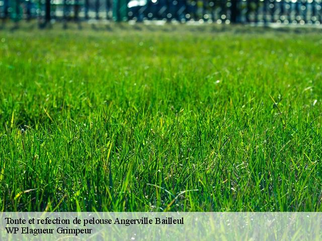 Tonte et refection de pelouse  angerville-bailleul-76110 WP Elagueur Grimpeur
