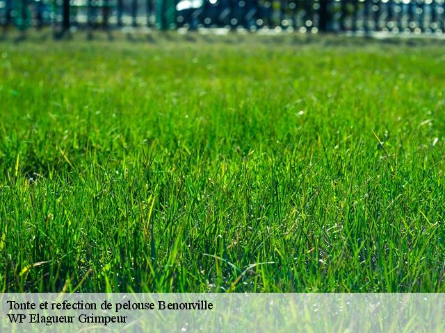 Tonte et refection de pelouse  benouville-76790 WP Elagueur Grimpeur