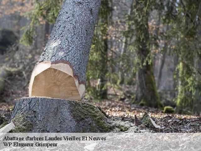 Abattage d'arbres  landes-vieilles-et-neuves-76390 WP Elagueur Grimpeur