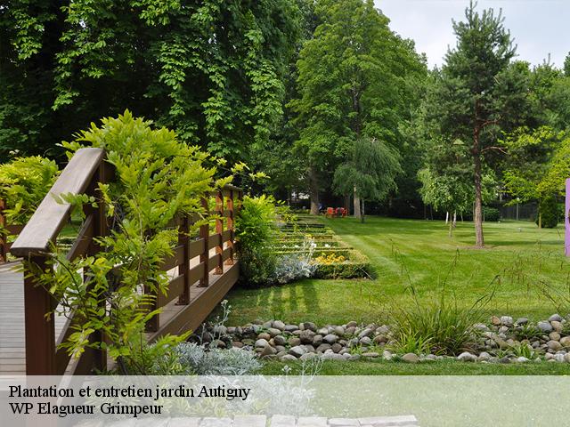 Plantation et entretien jardin  autigny-76740 WP Elagueur Grimpeur