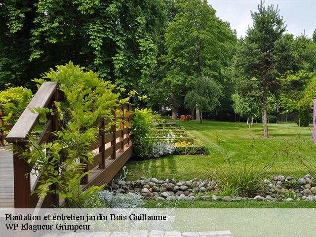 Plantation et entretien jardin  bois-guillaume-76230 WP Elagueur Grimpeur
