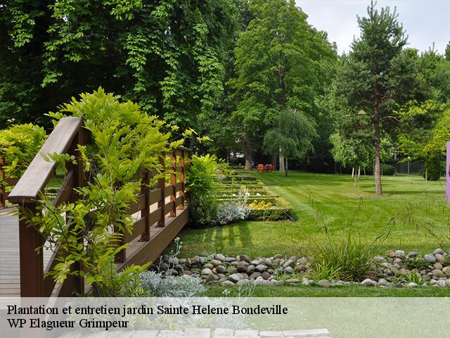 Plantation et entretien jardin  sainte-helene-bondeville-76400 WP Elagueur Grimpeur
